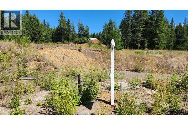 469 Lytton Crescent, Clearwater, BC, photo 2