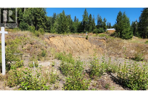 469 Lytton Crescent, Clearwater, BC, photo 3