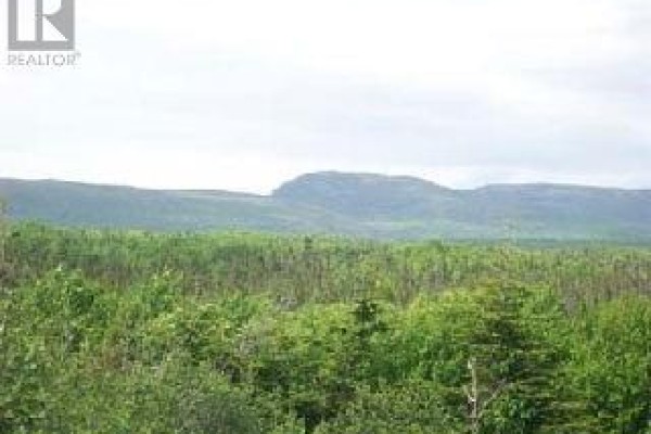 46a & 50b Kippens Road, Kippens, NL A2N1A7 Photo 5