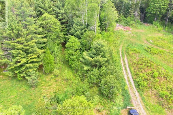 47 & 55 Cleak Avenue, Bancroft, ON K0L1C0 Photo 4