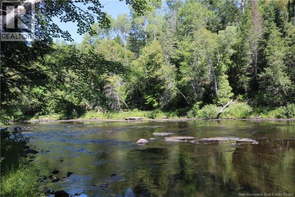 47 Acres North Barnaby Road, Barnaby, NB E1N6G4 Photo 2