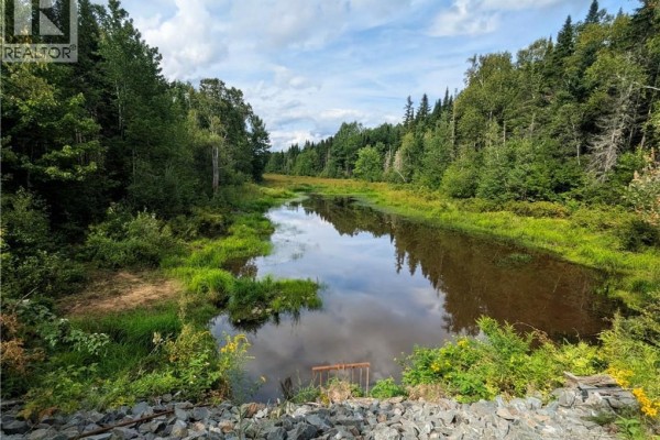 47 Acres North Barnaby Road, Barnaby, NB E1N6G4 Photo 3