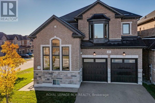 Cold room - 47 Carondale Square, East Gwillimbury, ON L9N0X5 Photo 3