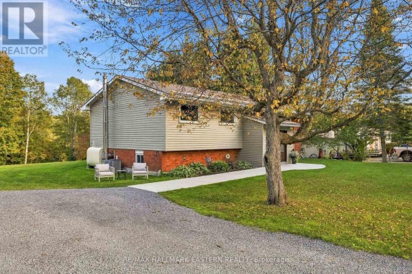 47 Hutchinson Court, Trent Hills, ON K0K3K0 Photo 3