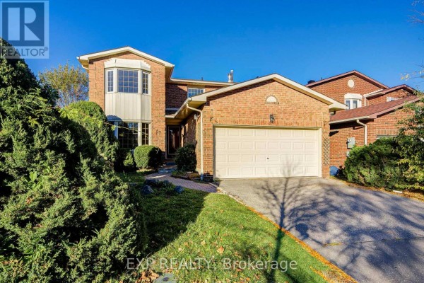 Family room - 47 Longsword Drive, Toronto, ON M1V2Z9 Photo 3
