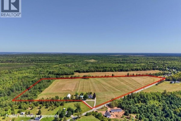 Aerial view outlining the property boundaries, showing fields, trees, and distant houses. - 47 Nowlanville Road, Miramichi