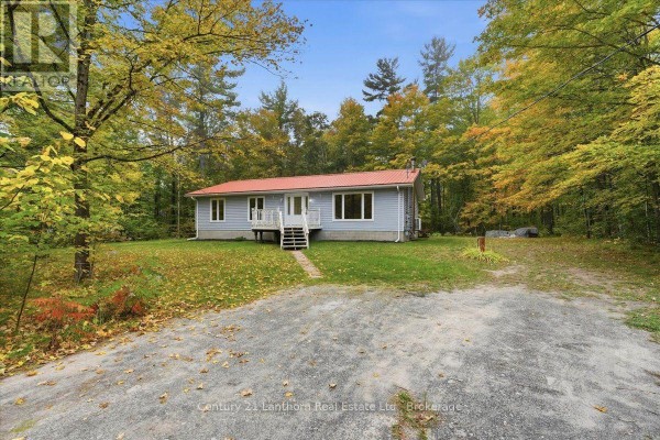Exterior of a light blue house with a red roof, surrounded by trees and a gravel driveway. - 47 Reynolds Road, Madoc