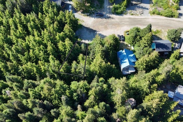 47017 Snowmist Place, Mission, BC V0M1A1 Photo 3