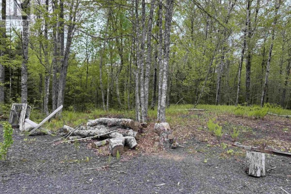 4702 Woodstock Road, Walden, NS B0J2E0 Photo 4
