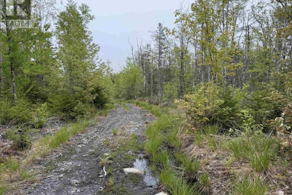 4702 Woodstock Road, Walden, NS B0J2E0 Photo 5