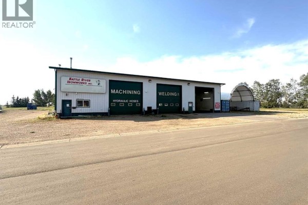 4708 43 Avenue, Forestburg, AB T0B1N0 Photo 2