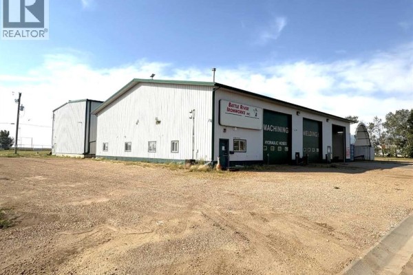 4708 43 Avenue, Forestburg, AB T0B1N0 Photo 4