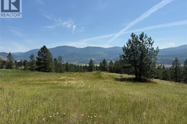4716 Pinantan - Pritchard Road, Pritchard, BC V0E3E1 Photo 4