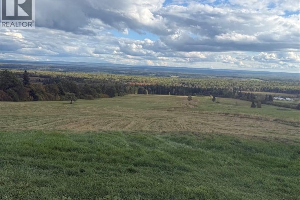 Expansive rolling fields with scattered trees under a dramatic, cloudy sky. - 47210 Homestead Road, Steeves Mountain