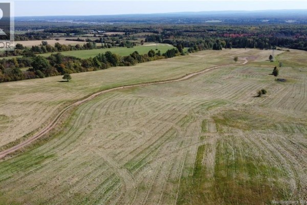 Overhead view of a large mowed field with a winding dirt track and scattered trees. - 47210 Homestead Road, Steeves Mountain