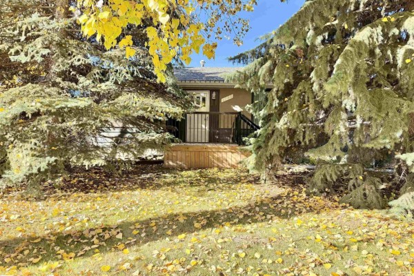 Kitchen - 4738 49 St, Drayton Valley, AB T7A1J2 Photo 3