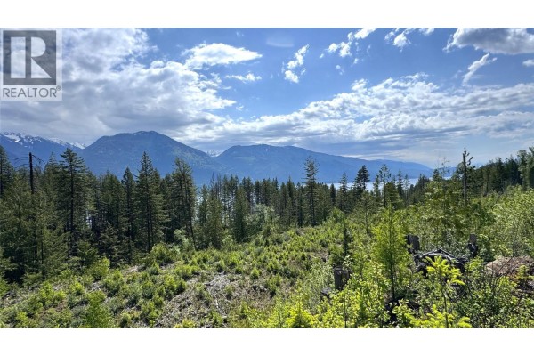 Full bathroom - 4761 Highway 31, Fletcher Creek, BC V0G1M0 Photo 3