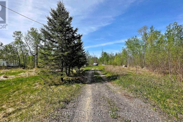 4778 Holborn Road, East Gwillimbury, ON L0G1N0 Photo 2