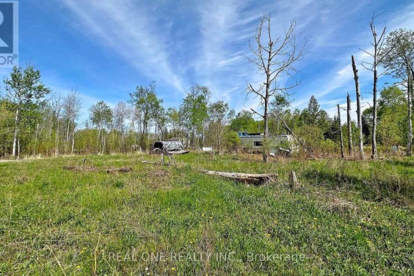 4778 Holborn Road, East Gwillimbury, ON L0G1N0 Photo 3