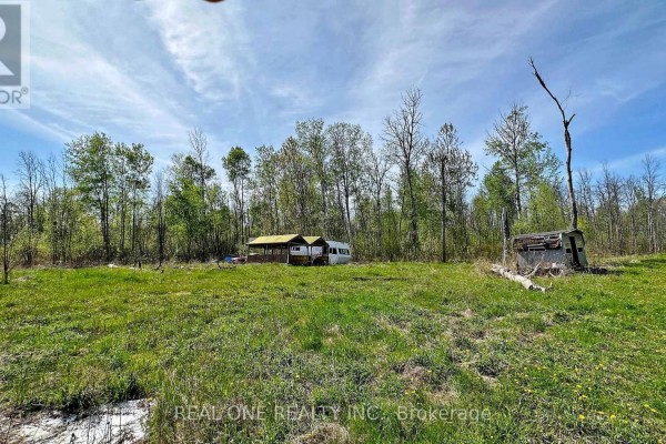 4778 Holborn Road, East Gwillimbury, ON L0G1N0 Photo 4
