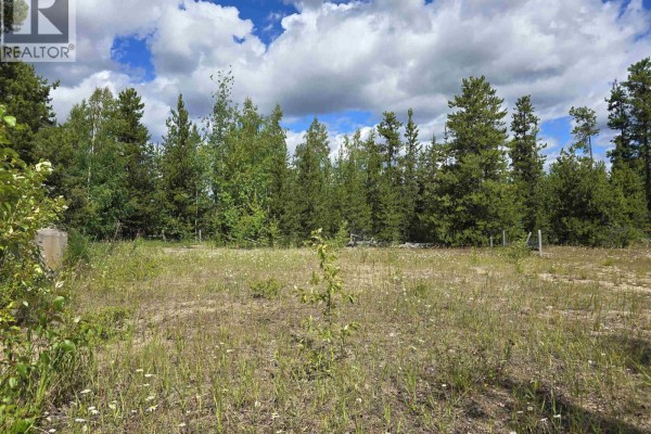 478 Panda Avenue, Bear Lake, BC V0J3G0 Photo 2