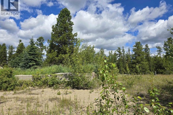 478 Panda Avenue, Bear Lake, BC V0J3G0 Photo 3