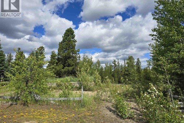 478 Panda Avenue, Bear Lake, BC V0J3G0 Photo 4