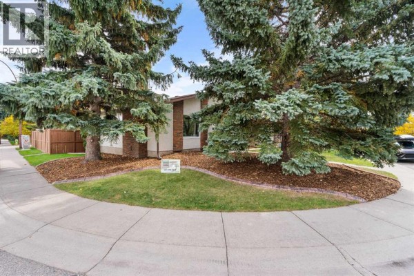 Curving sidewalk in front of the house with manicured landscaping and large pine trees. - 479 Bracewood Crescent Sw, Calgary