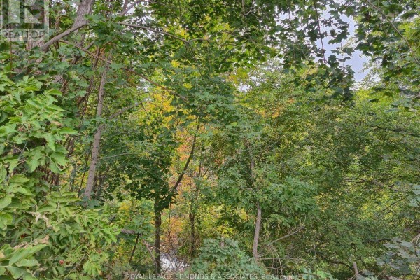 479 Moffat Street, Pembroke, ON K8A3Y2 Photo 4