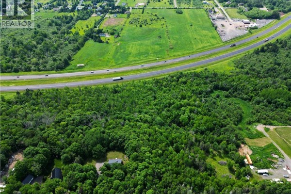 Wooded land with fallen leaves on the ground and bare trees. - 47950 Chemin Homestead Road, Moncton
