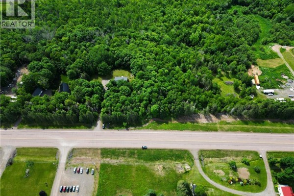 Slope in a wooded area with tall bare trees and fallen leaves. - 47950 Chemin Homestead Road, Moncton
