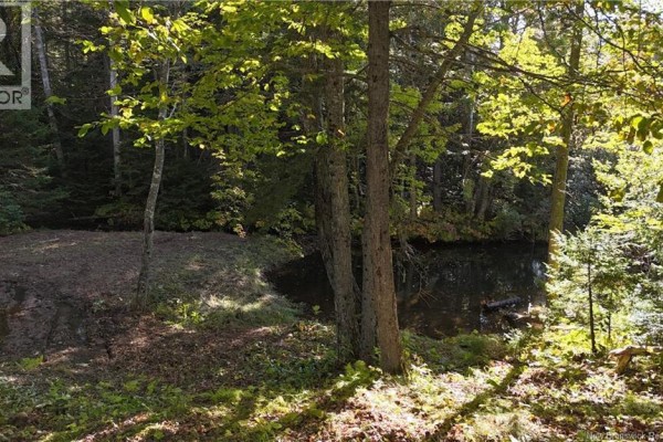 4pc Bathroom - 4799 Route 495, Balla Philip, NB E4W3T4 Photo 5