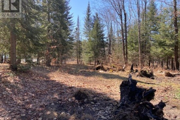 47c River Dr, Blind River, ON P0R1B0 Photo 2