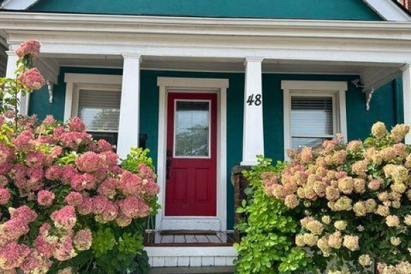 48 Burton Street, Hamilton