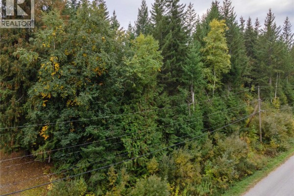48 Centennial Drive, Blind Bay, BC V0E1H1 Photo 4