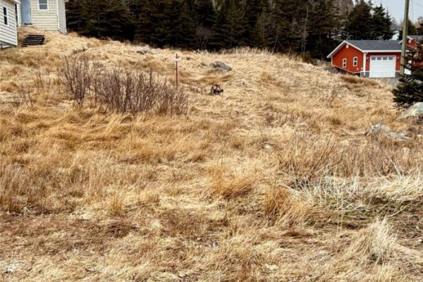 48 Old Settlement Hill, Freshwater, NL A0B1W0 Photo 2