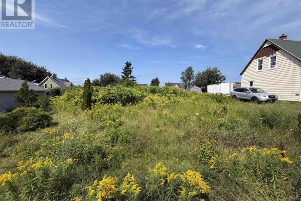 48 Pleasant Street, Dominion, NS B1G1S6 Photo 4