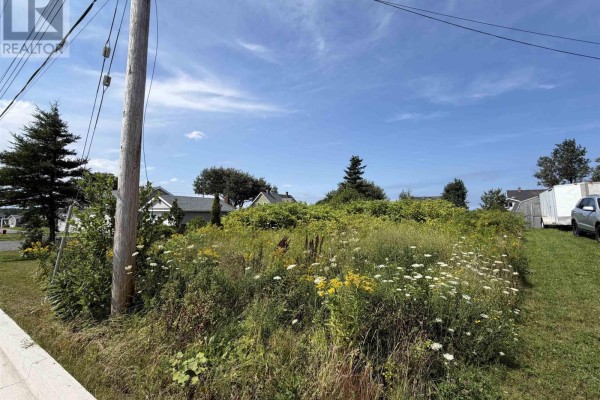 48 Pleasant Street, Dominion, NS B1G1S6 Photo 5