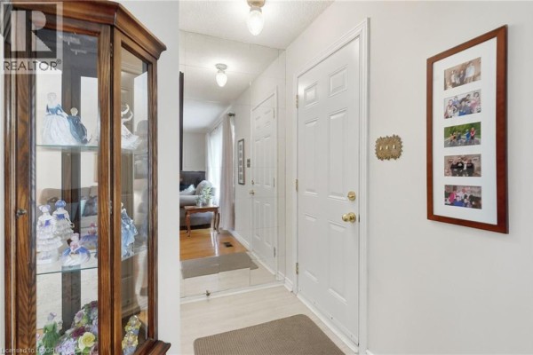 Interior hallway with white doors, hardwood flooring, a mirrored wall, and decorative items. - 48 Raleigh Court, Hamilton