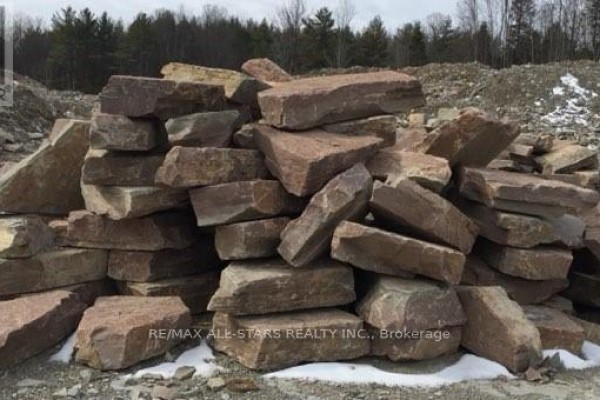 48 Ties Mountain Road, Trent Lakes, ON K0M1A0 Photo 3