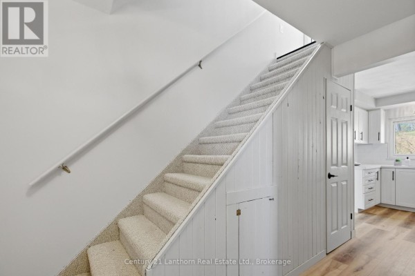 Carpeted staircase with white beadboard paneling and a white handrail on the left. - 48 Wallbridge Crescent, Belleville