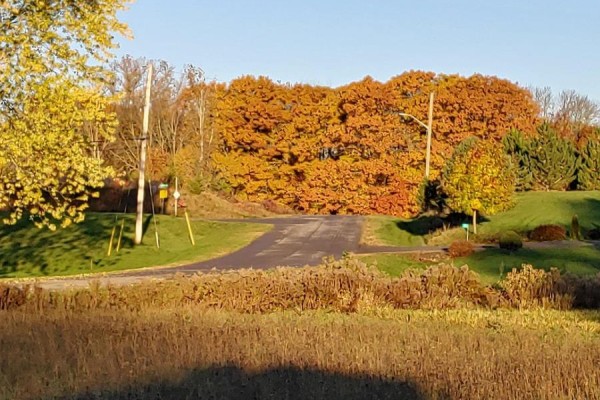 48 Youngs Point Road, Greater Napanee, ON K0K2W0 Photo 3