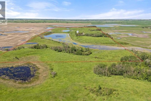 480075 Rr 104, Rural Wainwright No  61, M D  Of, AB T0B0A0 Photo 4