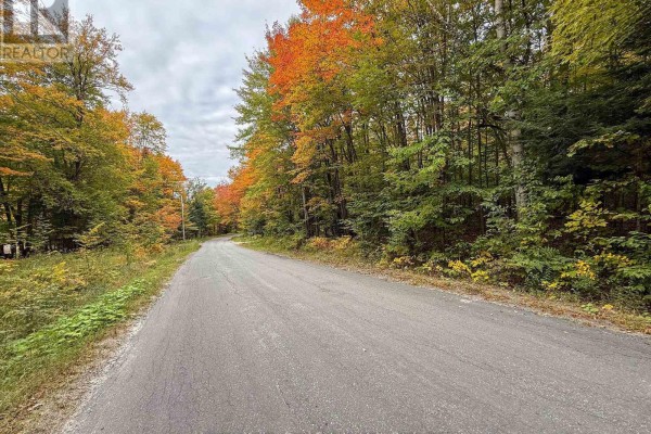 Paved road curves through a forest with vibrant fall colors on the trees. - 481 Gryffin Lodge Road, Huntsville