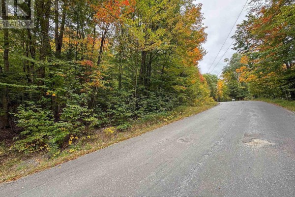 View down a paved road with a tree-lined slope on the left in autumn. - 481 Gryffin Lodge Road, Huntsville