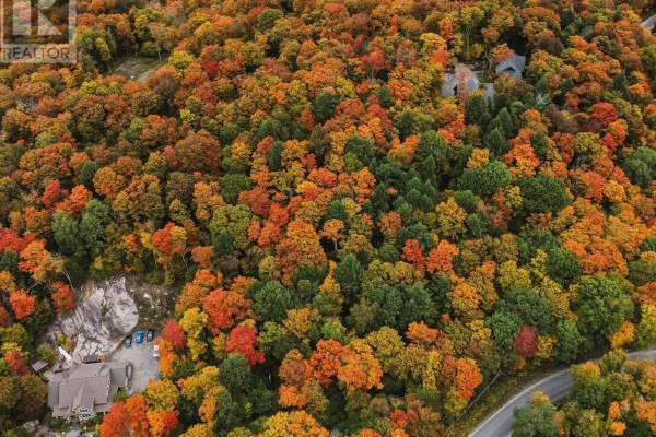 Aerial view of a densely forested area with fall colors, showing some buildings. - 481 Gryffin Lodge Road, Huntsville