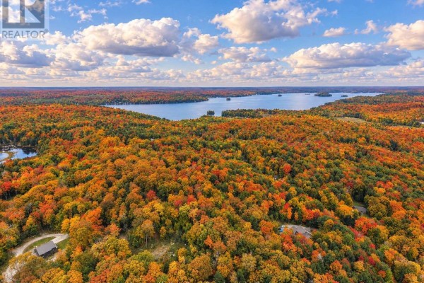 Wide aerial view of a lake surrounded by a vast forest in peak autumn colors. - 481 Gryffin Lodge Road, Huntsville