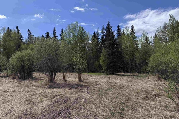 4816 & 4818 55 St, Fawcett, AB T0G0Y0 Photo 4