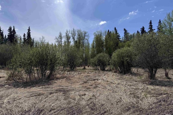 4816 & 4818 55 St, Fawcett, AB T0G0Y0 Photo 5