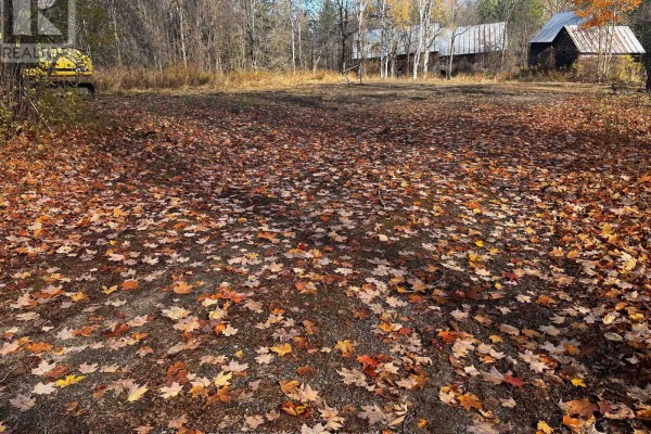 Cleared lot covered in fallen leaves, with distant structures visible. - 482 Bellamy Road, Mcnab/braeside